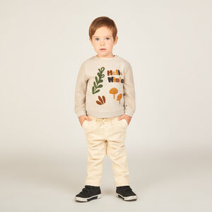 Πουλόβερ διπλής ύφανσης με φάσες για μωρό αγόρι 