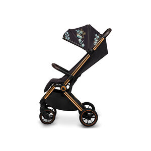 Καρότσι Ταξιδίου Cloe έως 22kg Golden Moments Lionelo 