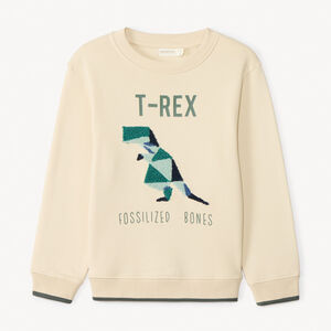 Φούτερ molleton με πολύχρωμο κέντημα πόρπη για αγόρι 