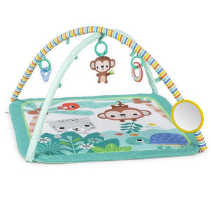 Γυμναστήριο Δραστηριοτήτων Palm Party™ Activity Gym 