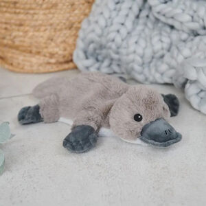 Πλατύποδας Junior Warmies  