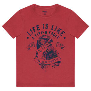 Κοντομάνικη μπλούζα από ζέρσεϊ με στάμπα αετό 